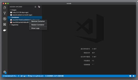 Docker Tutorial VSCode 的图像结果
