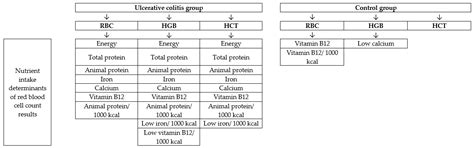 Analysis of Association between Dietary Intake and Red Blood Cell Count ...