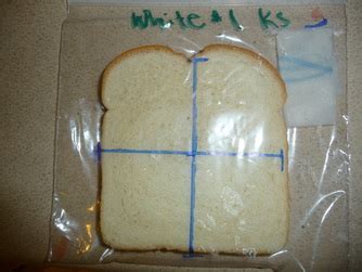 Image result for Falling Bread Experiment