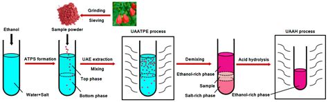 Ultrasonic Enhancement of Aqueous Two-Phase Extraction and Acid ...