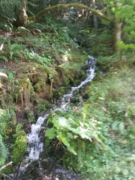 Lake Sutherland, WA, USA : locations de vacances | Abritel