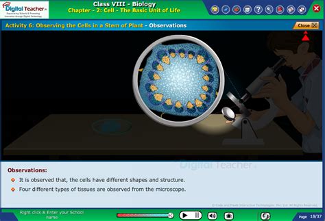 Infographics | Biology | Digital Teacher