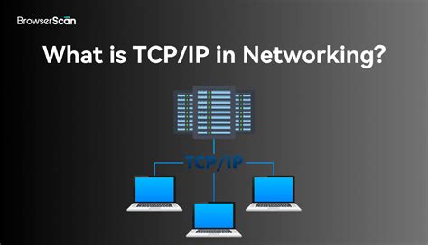 Image result for TCP IP Protocol Explained