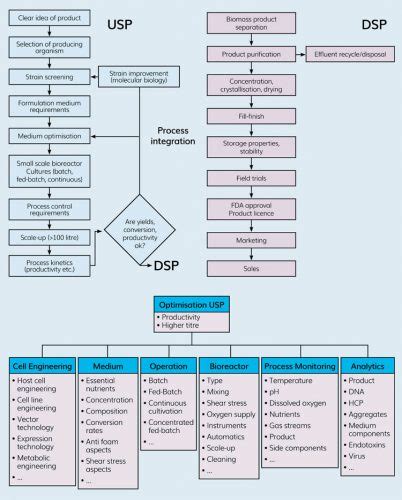 Image result for Upstream Manufacturing Process