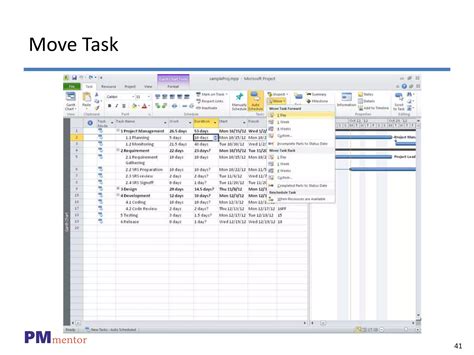 MS Project Web Tutorial 的图像结果