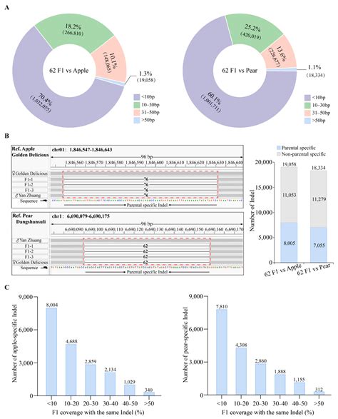 InDel Markers for Identifying Interspecific Hybrid Offspring of Apple ...