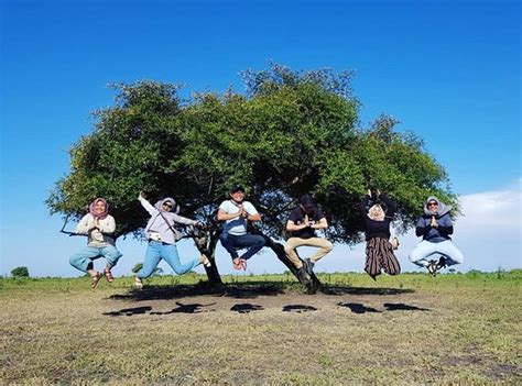 Java Sunrise Tour (Banyuwangi) - 2021 What to Know Before You Go (with ...