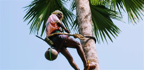 Of the Gouds, the liquid solitude and what restaurants can’t serve ...