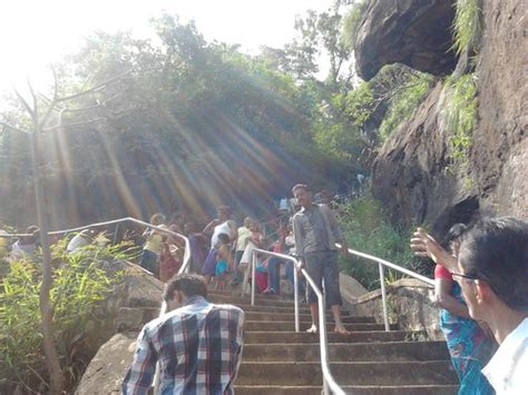 Steps Leading to the Falls - Picture of Agaya Gangai Waterfalls, Kolli ...