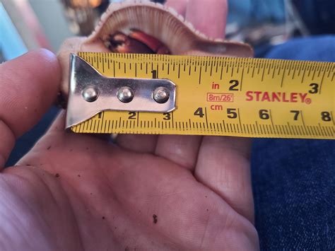 1.25 inches in mm 2025