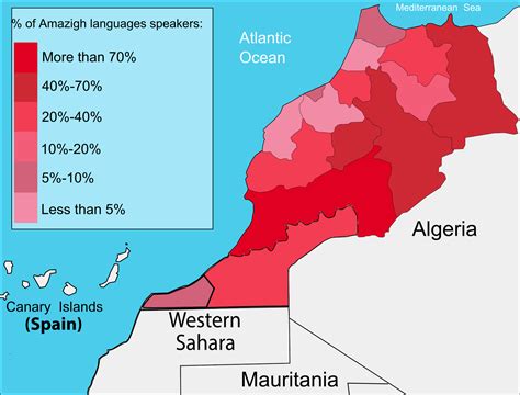 What are the Official Languages of Morocco: A Journey Through ...