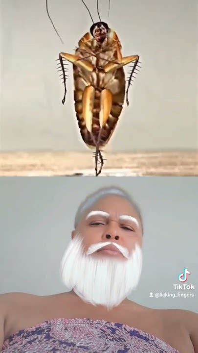 Cockroach Dance Song 的图像结果