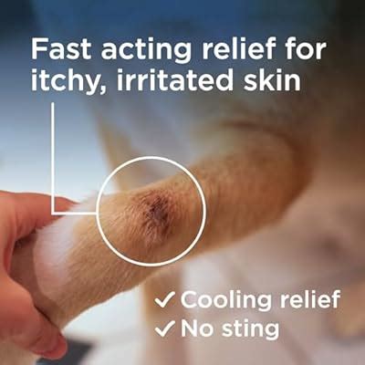 Wondercide Rescue - Skin Spray for Pets - Allergy India | Ubuy