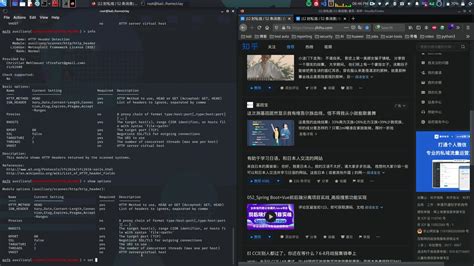 Metasploit Script 的图像结果