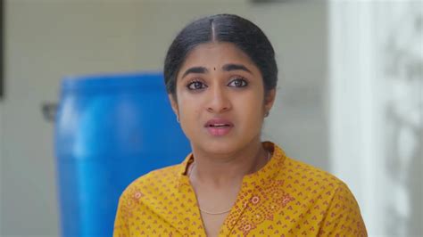 Chinnan Siru Kiliye TV Serial Online - Watch Latest Show Episodes on ZEE5