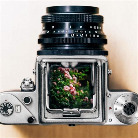 Digital Camera LCD Screen 的图像结果