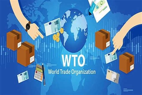 WTO's 12th ministerial meeting opens in Geneva to tackle key issues ...