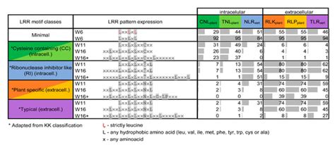 LRRpredictor—A New LRR Motif Detection Method for Irregular Motifs of ...
