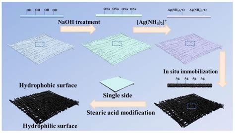 A Review on Nanocellulose and Superhydrophobic Features for Advanced ...