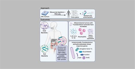 Image result for Local Effects