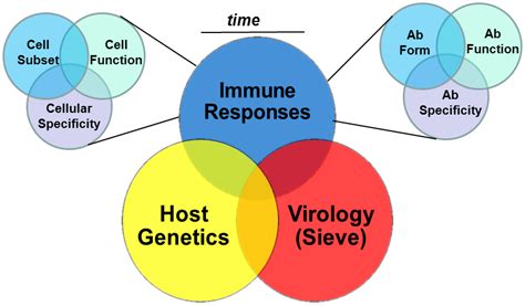 Advancing Toward HIV-1 Vaccine Efficacy through the Intersections of ...
