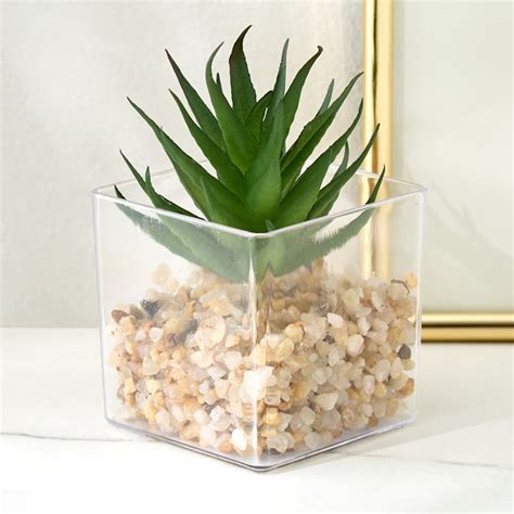 Buy Lets Garden Hedge Artificial Succulent Plant in Pot from Home ...