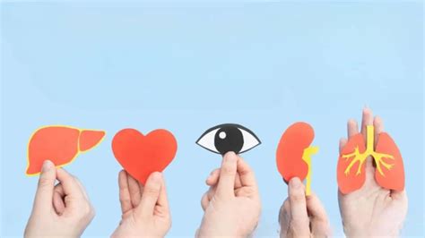 Indian Organ Donation Day: અંગદાનમાં અગ્રેસર બનતું ગુજરાત, 5 વર્ષમાં ...