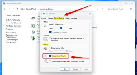 Image result for Disable Mouse Pointer