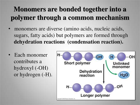 Lecture 5 Organic Compounds - ppt download