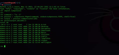 Angelone Python API Documentation 的图像结果
