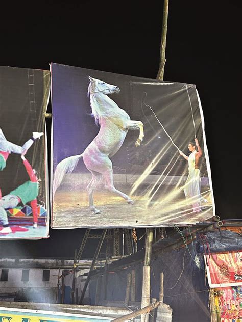 Police seize horse from circus at Cooch Behar Rash Mela