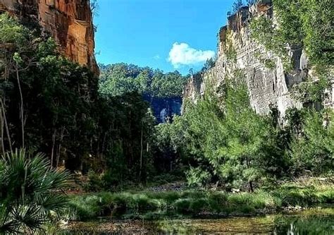 CARNARVON GORGE - All You Need to Know BEFORE You Go 2026 (with Photos ...