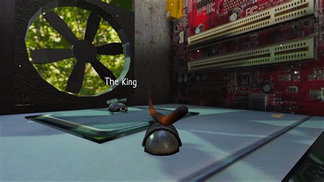 Image result for Roly Poly