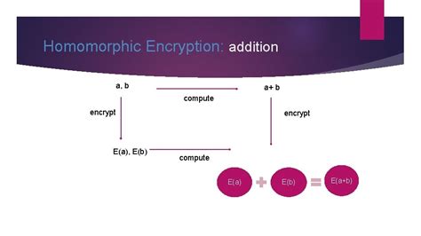 Image result for Homomorphic encryption Applications