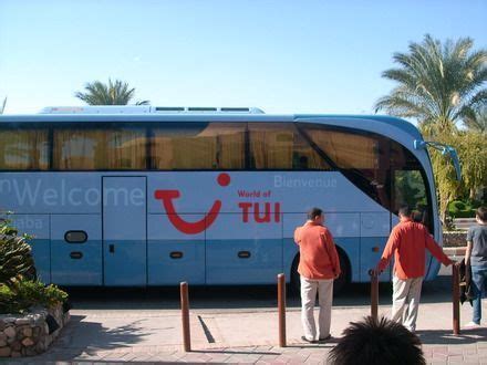 Image result for Tui Local Bus