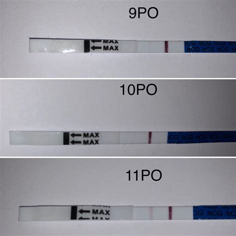 Pregnancy test line progression 8dpo 4 week pregnancy symptoms – Artofit