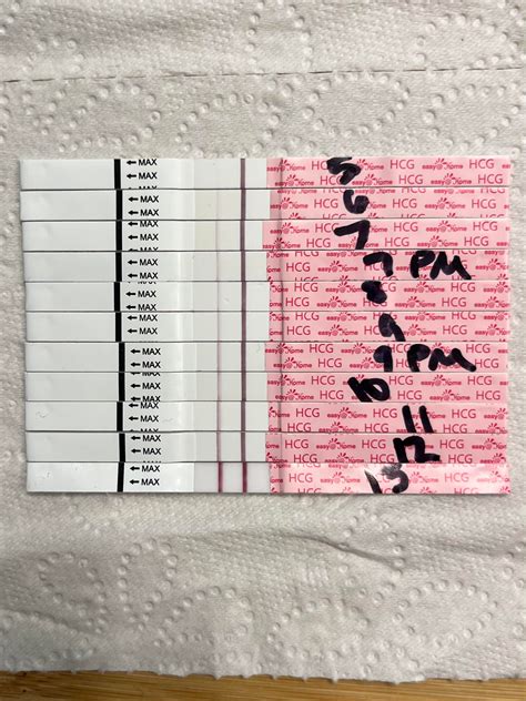 IVF 5 day FET line progression : r/lineporn