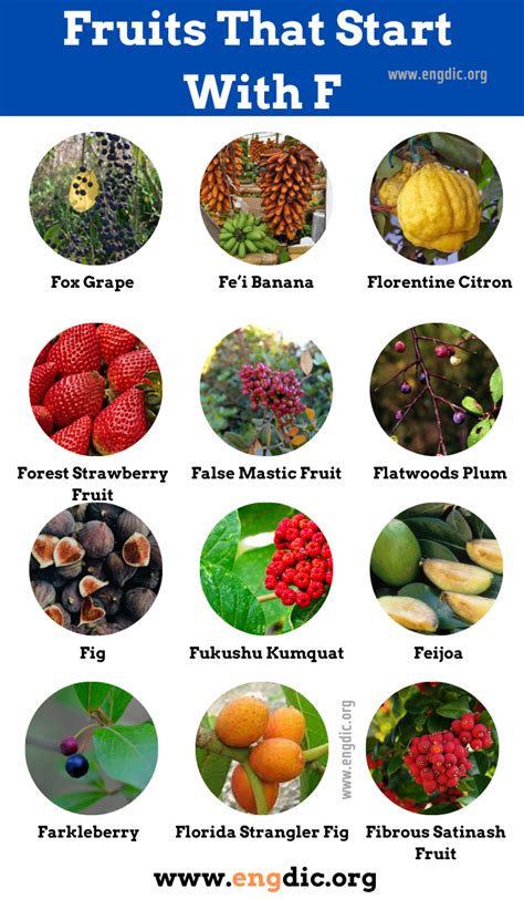Vegetables And Fruits That Start With F at Alan Fortune blog