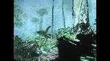 Gameplay 1 (off screen)