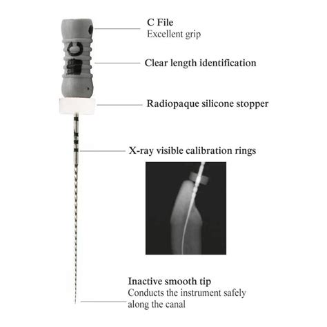 Waldent C Files 21mm ( Pack of 4 ) – Waldent.com