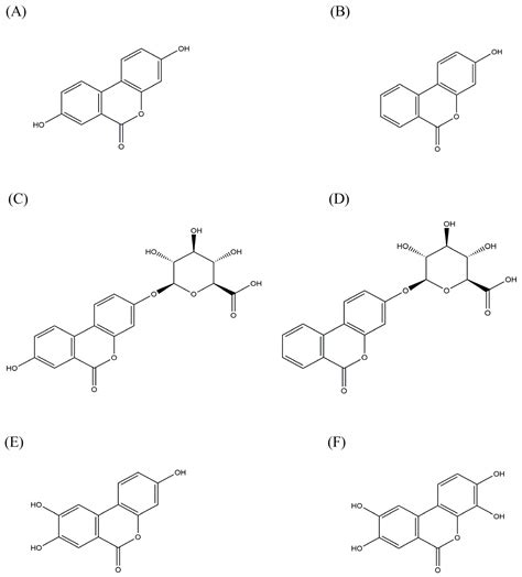 A Multi-Spectroscopic and Molecular Docking Analysis of the Biophysical ...