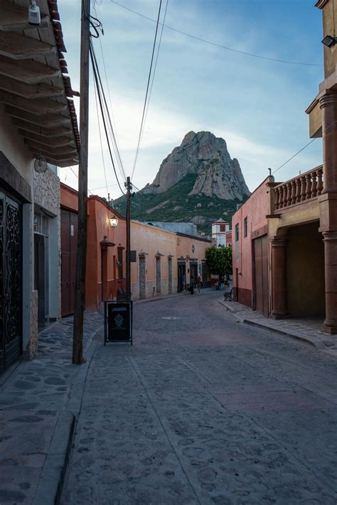 Library+Of+Thumbs Photos, Download The BEST Free Library+Of+Thumbs ...