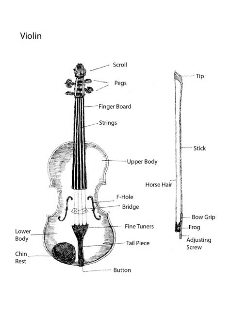Parts Of A Bow Diagram at Harry Roloff blog