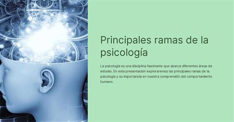 Principales ramas de la psicología