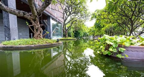 Signalling Economics 的图像结果