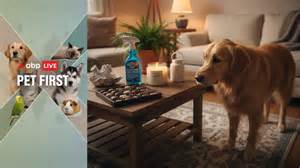 ABP Live Pet First | 8 everyday household items that are toxic to dogs
