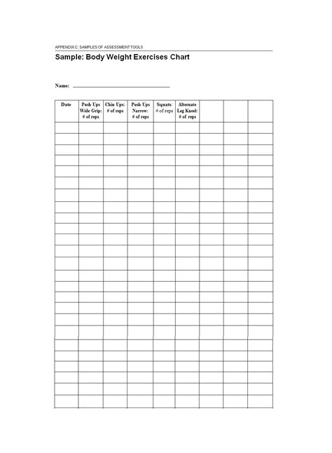 Exercise Workout Chart 的图像结果