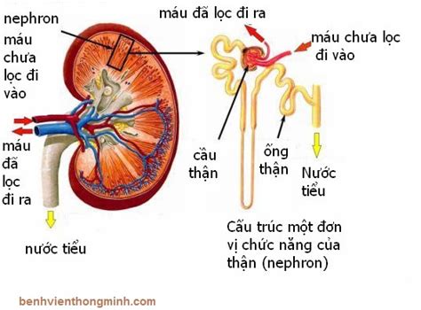 https://3.bp.blogspot.com/-GFNsT0I6WBs/WHyDYZHXvjI/AAAAAAAABFM/LzHOrAqYttUc0qdGiWRm0ziTwSD_fuOLwCLcB/s1600/chia-se-kinh-nghiem-chua-benh-cua-thay-hoang-tam.jpg