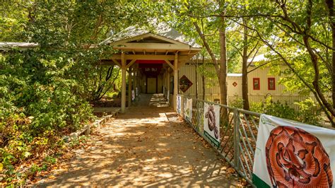 Elachee Nature Science Center, Gainesville Vacation Rentals: chalet ...
