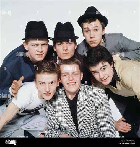 madness 的图像结果